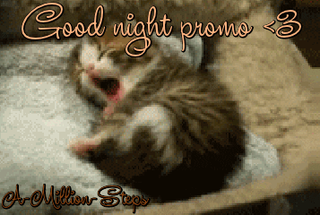 Goodnight Cat On Promo GIF
