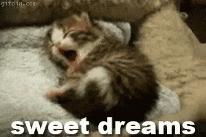 Goodnight Cat Sweet Dreams GIF