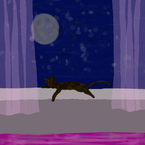 Goodnight Cat Under Moon GIF