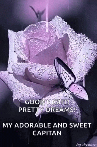 Goodnight Cute Purple Butterflies GIF