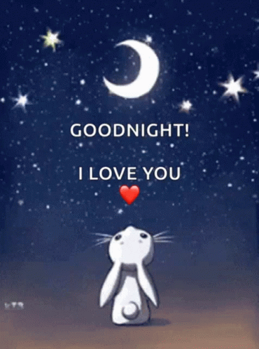 Goodnight I Love You Bunny & Moon GIF