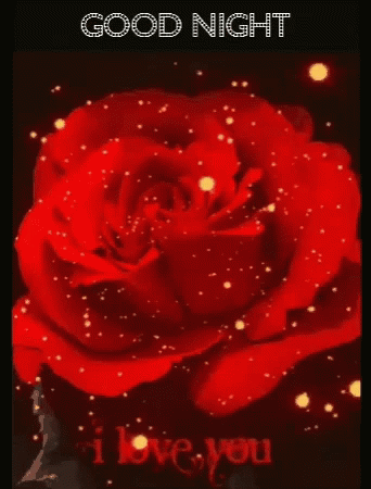 Goodnight I Love You Red Roses GIF