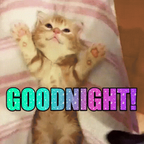 Goodnight Little Cat Arms Up GIF