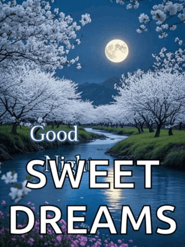 Goodnight Moon Meme GIF