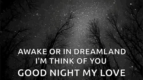 Goodnight My Love Sweet Dreams Sweetheart Card Red Roses Lipstick