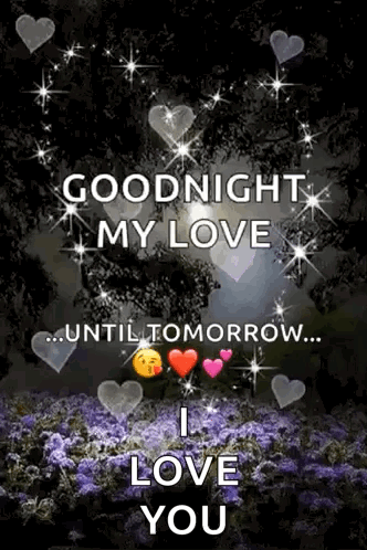 Goodnight My Love Until Tomorrow GIF
