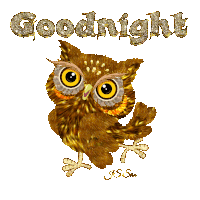 Goodnight Nught Owl Sticker GIF