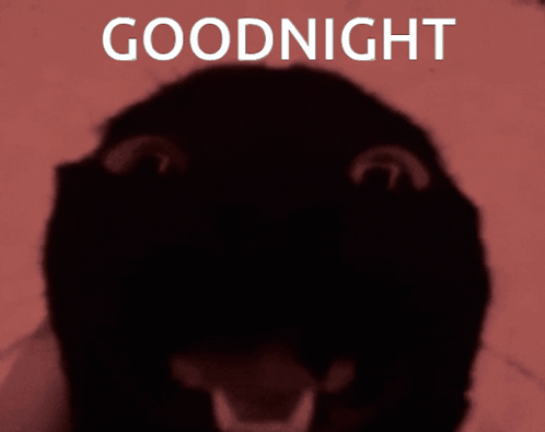 Goodnight Poster With Face Silhouette GIF