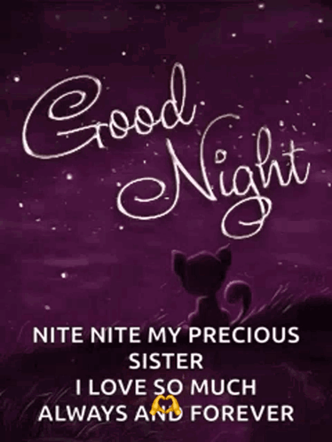 Goodnight Sis I Love You GIF