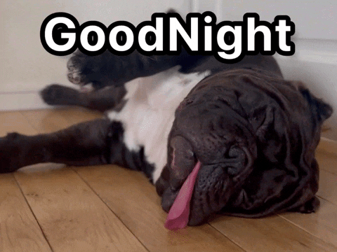 Goodnight Sleepy Bully GIF