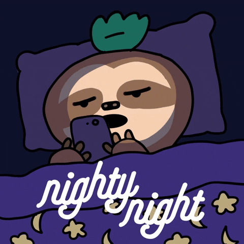 Goodnight Snoozy Cartoon In Bed GIF