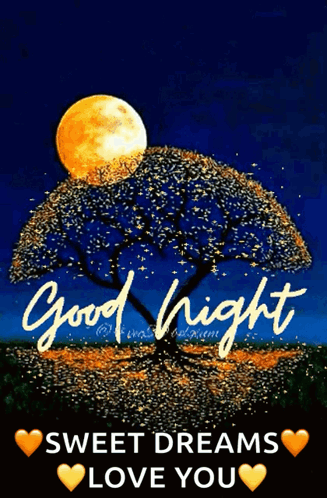Goodnight Sweet Dreams Love You GIF