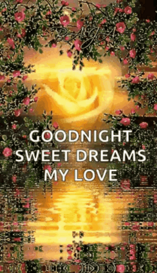 Goodnight Sweet Dreams My Love Golden Rose GIF