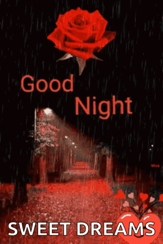 Goodnight Sweet Dreams Red Rose GIF