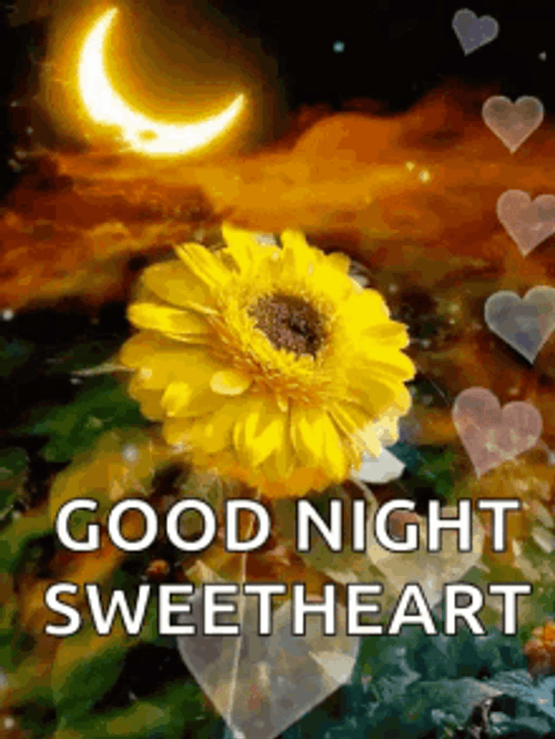 Goodnight Sweetheart Moon Sunflower GIF