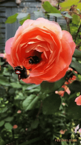 Goofy Ahh Bee Going Out GIF