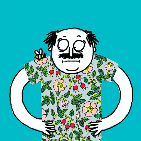 Goofy Ahh Bee Landing On Shirt GIF