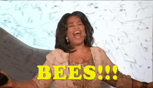 Goofy Ahh Bee Oprah Winfrey GIF
