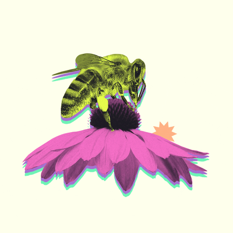 Goofy Ahh Bee Pollinating GIF