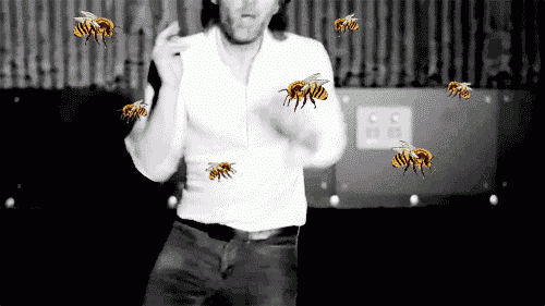Goofy Ahh Bee Thom Yorke GIF