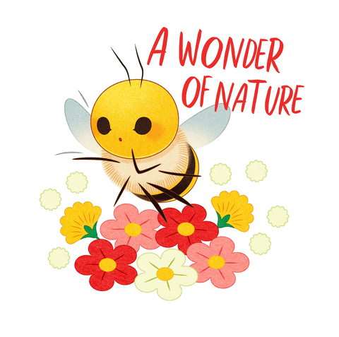 Goofy Ahh Bee Wonder Of Nature GIF