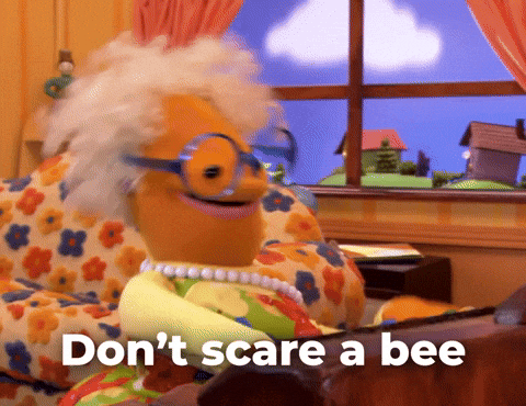Goofy Ahh Do Not Scare Bee Nanalan' GIF