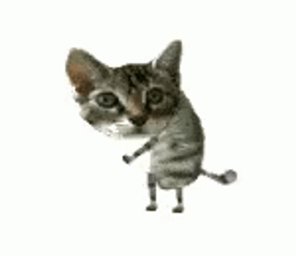 Goofy Ahh Griddy Dance Cat GIF