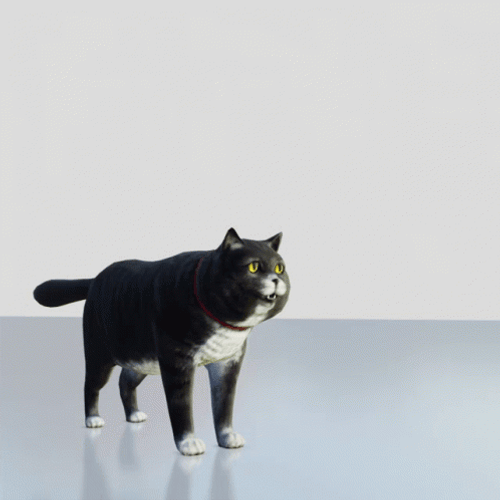 Goofy Ahh Griddy Flowy Cat GIF