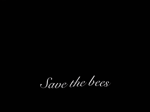 Goofy Ahh Save The Bees GIF