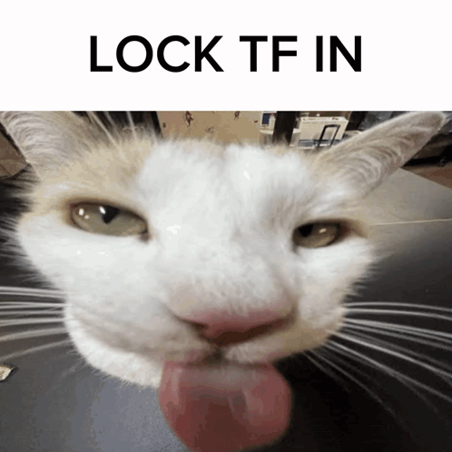 Goofy Cat Locked It In GIF