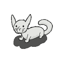 Goofy Cat Sticker GIF