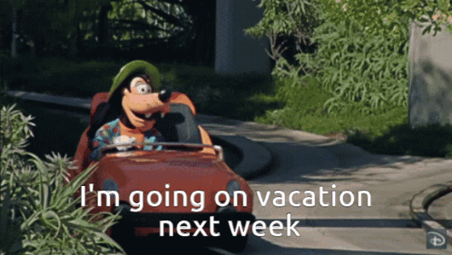 Goofy Driving Car Saying Going on Vacation