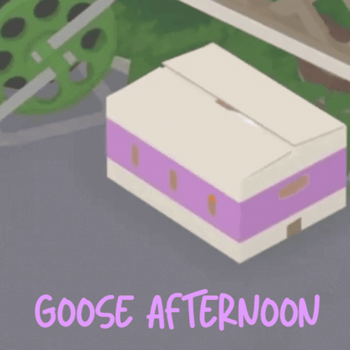 Goose in Cardboard Box With Goose Afternoon