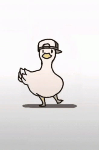 Goose in Sunglasses Next to Duck With Drink on Float