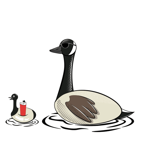 Goose in Sunglasses Next to Duck With Drink on Float