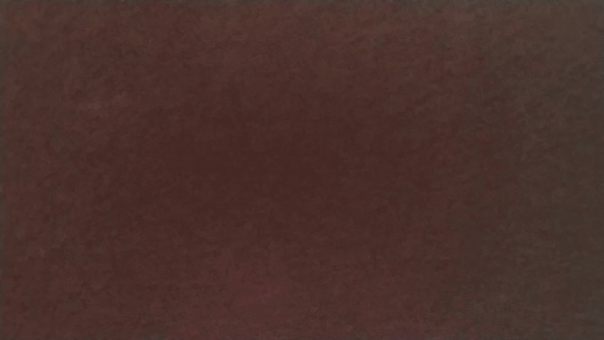 Goose Stalker Funny GIF