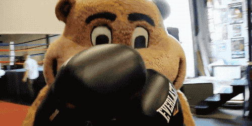Gophers Giving Punches GIF