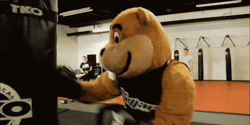 Gophers Mascot Boxing Session GIF