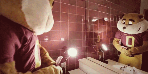 Gophers Mascot Feeling Handsome GIF