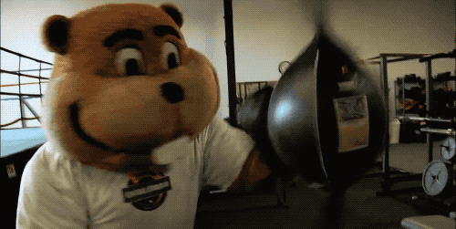 Gophers Mascot Loving Boxing GIF
