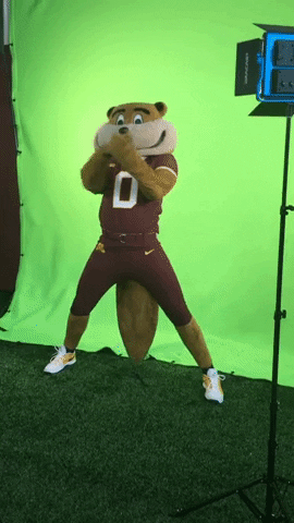Gophers Mascot On A Green Screen GIF