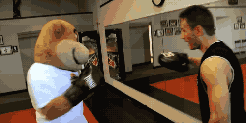 Gophers Tries Boxing GIF
