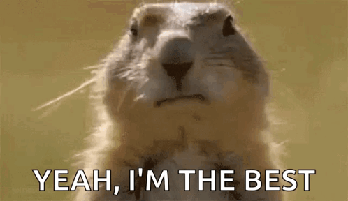 Gophers Yeah I'm Best GIF