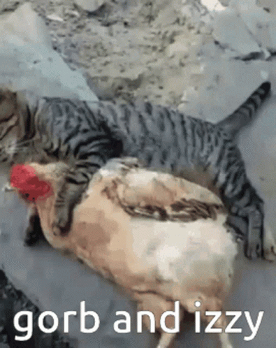 Gorb And Izzy Naptime GIF