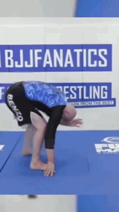 Gordon Ryan Craig Jones Gif GIF