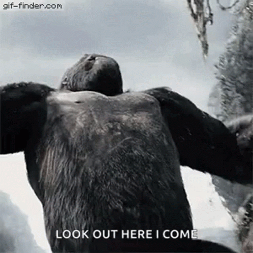 Gorilla Arms Outstretched Look Out Here I Come