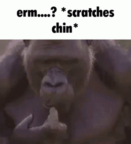 Gorilla Chin Scratching GIF
