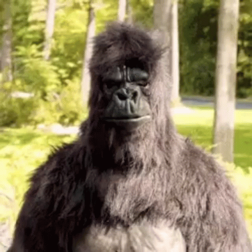 Gorilla Costume in Forest