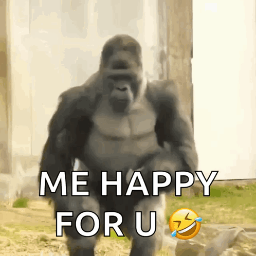 Gorilla Dancing Happy For You GIF