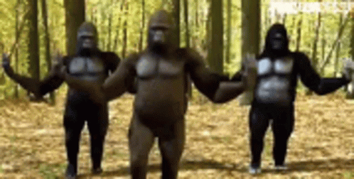 Gorilla Dancing Humor GIF